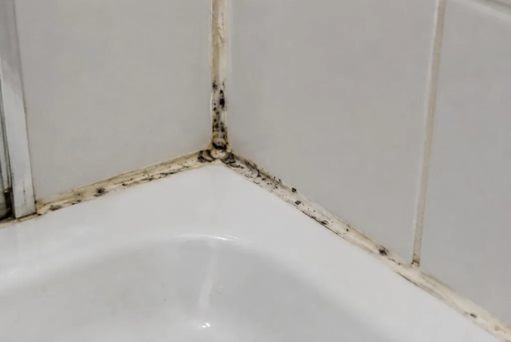 Kitbedrijf Culemborg – beschimmelde kitranden